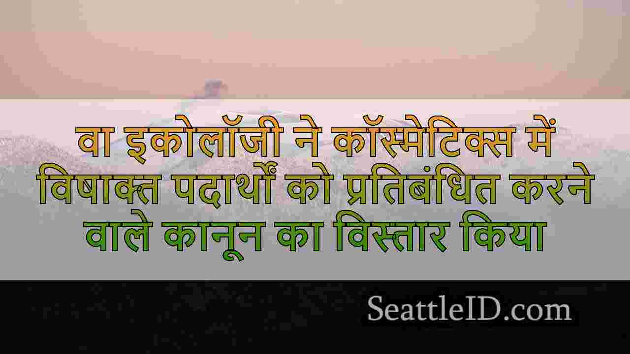 सिएटल समाचार SeattleID