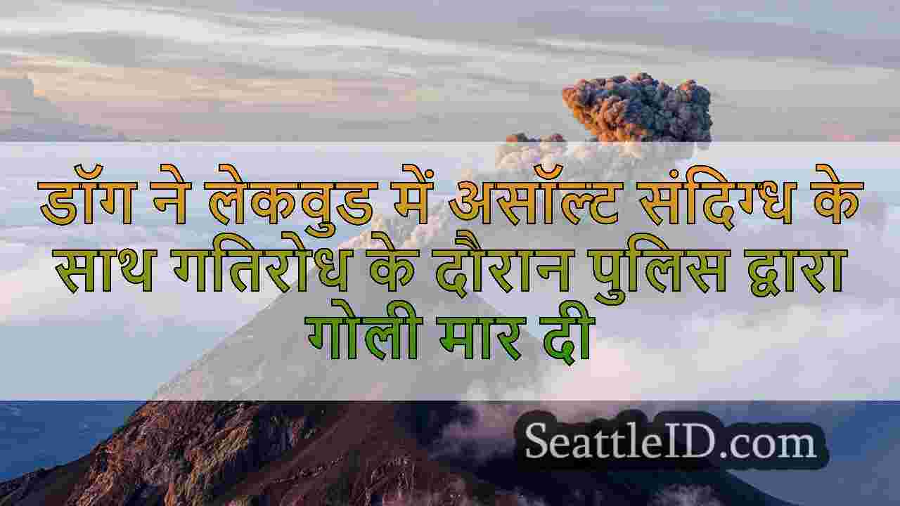 सिएटल समाचार SeattleID