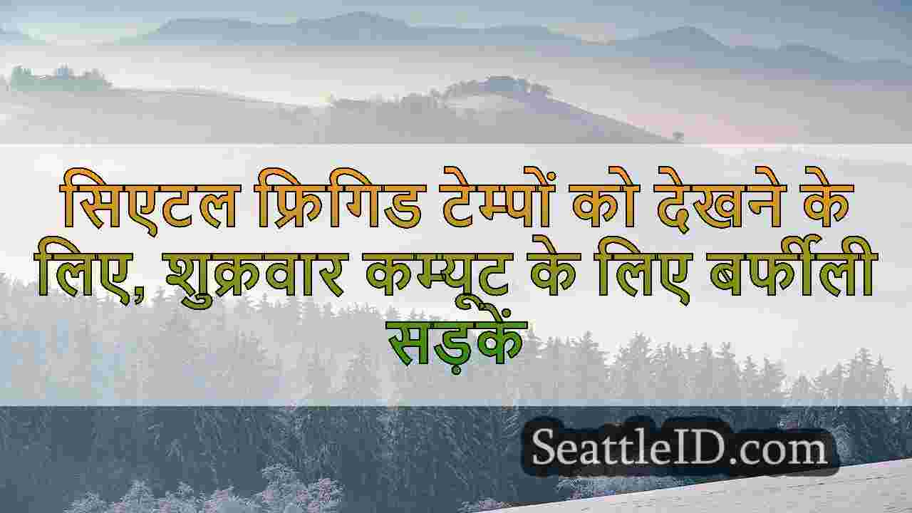 सिएटल समाचार SeattleID