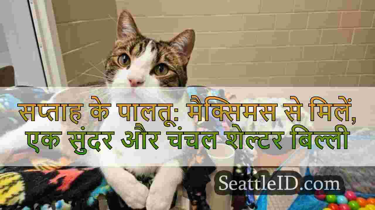 सिएटल समाचार SeattleID