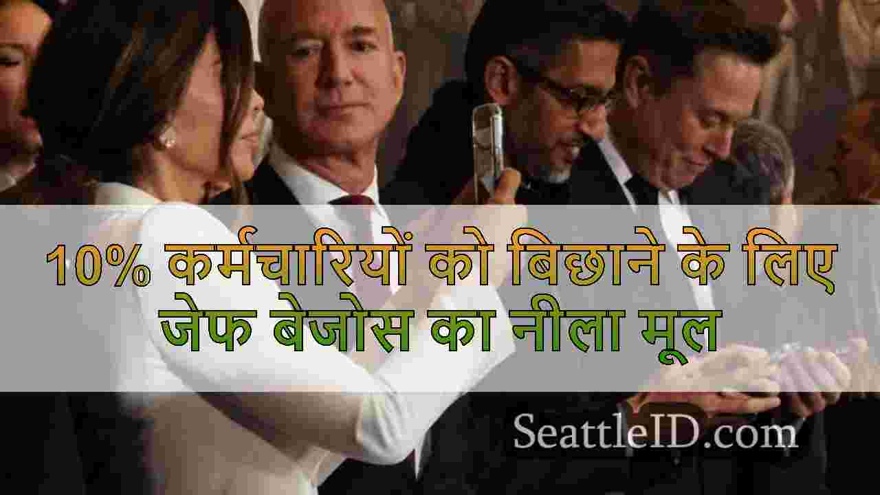 सिएटल समाचार SeattleID