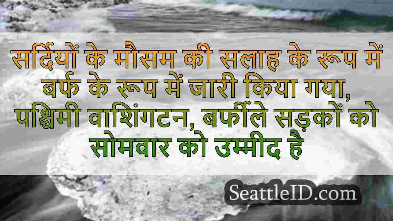 सिएटल समाचार SeattleID
