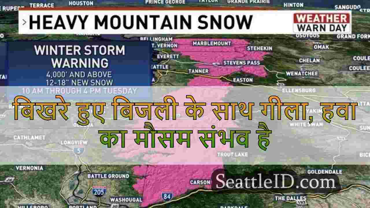 सिएटल समाचार SeattleID