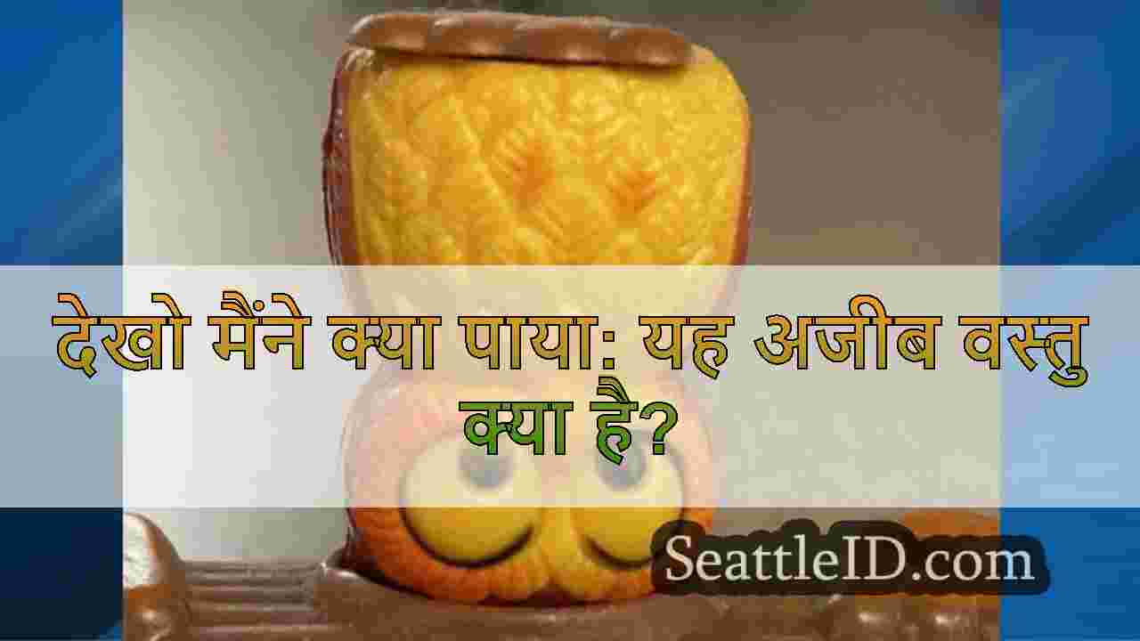 देखो मैंने क्या पाया: यह अजीब वस्तु