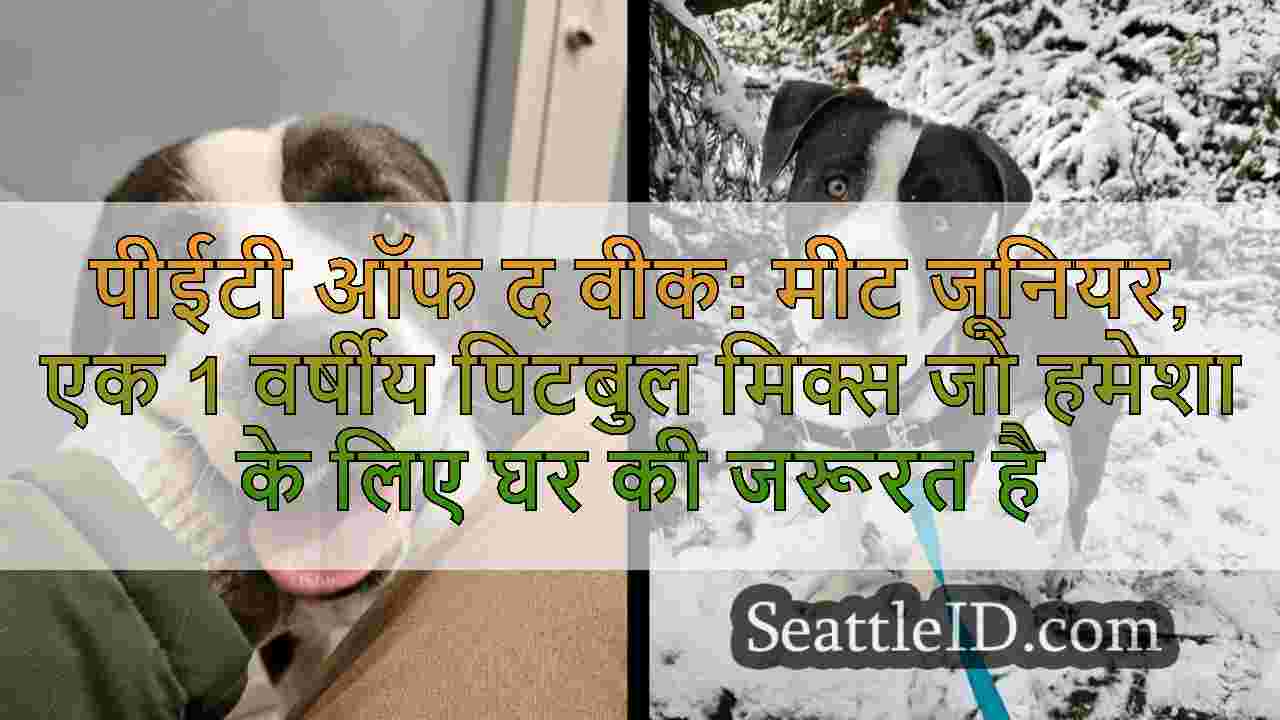 पीईटी ऑफ द वीक: मीट जूनियर, एक 1 वर्षीय