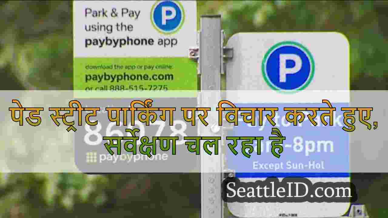 पेड स्ट्रीट पार्किंग पर विचार करते हुए,
