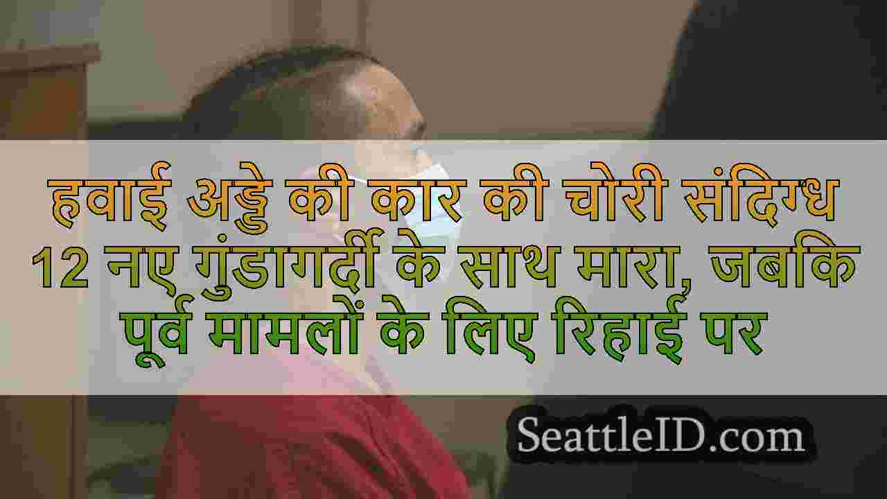 हवाई अड्डे की कार की चोरी संदिग्ध 12 नए