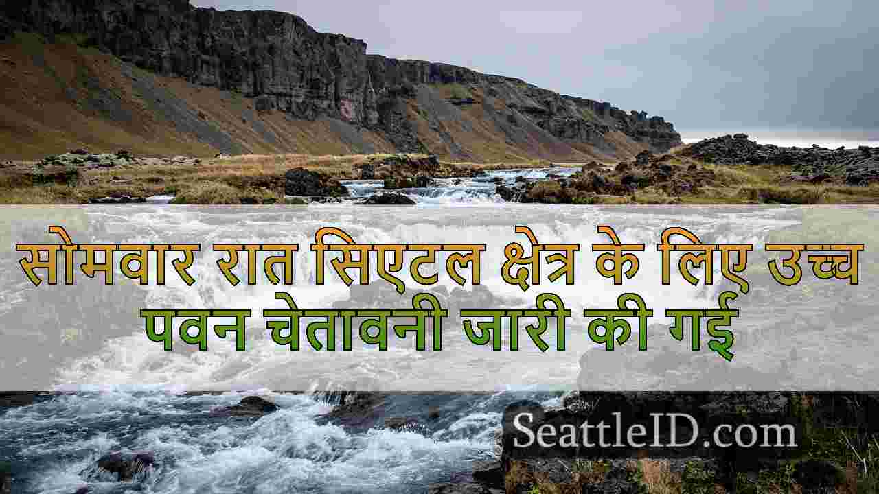 सिएटल समाचार SeattleID