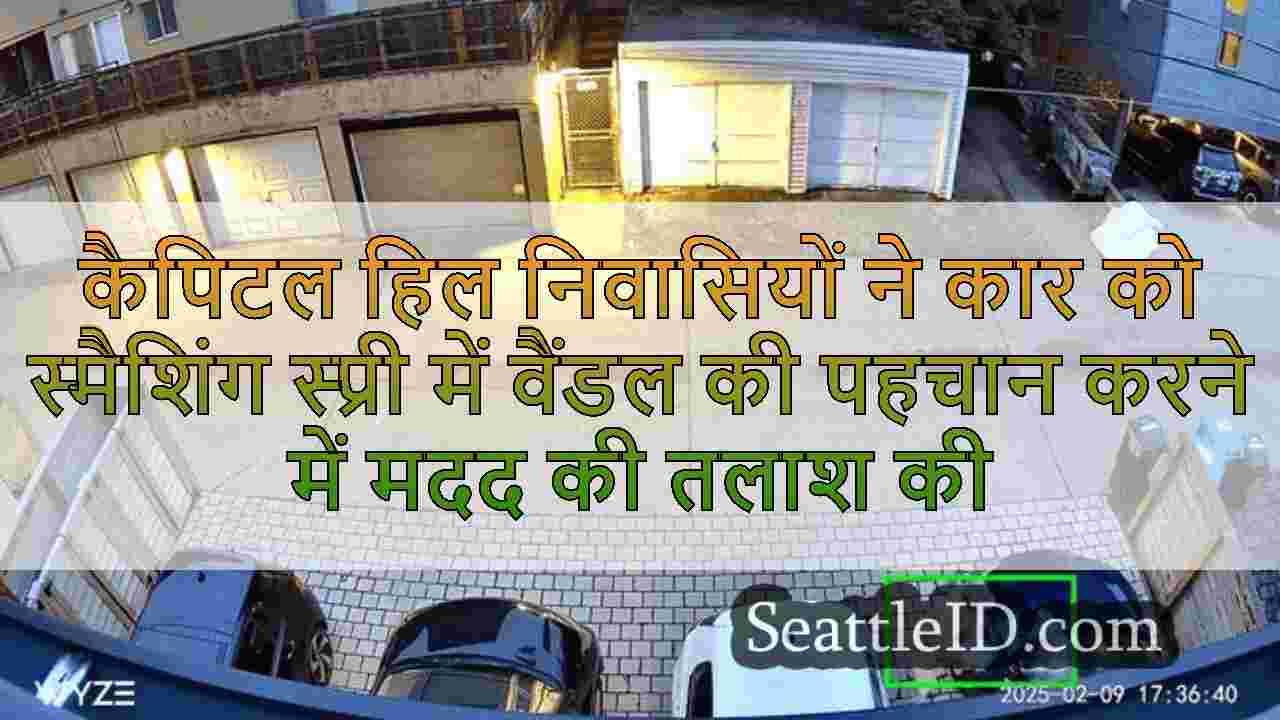 सिएटल समाचार SeattleID