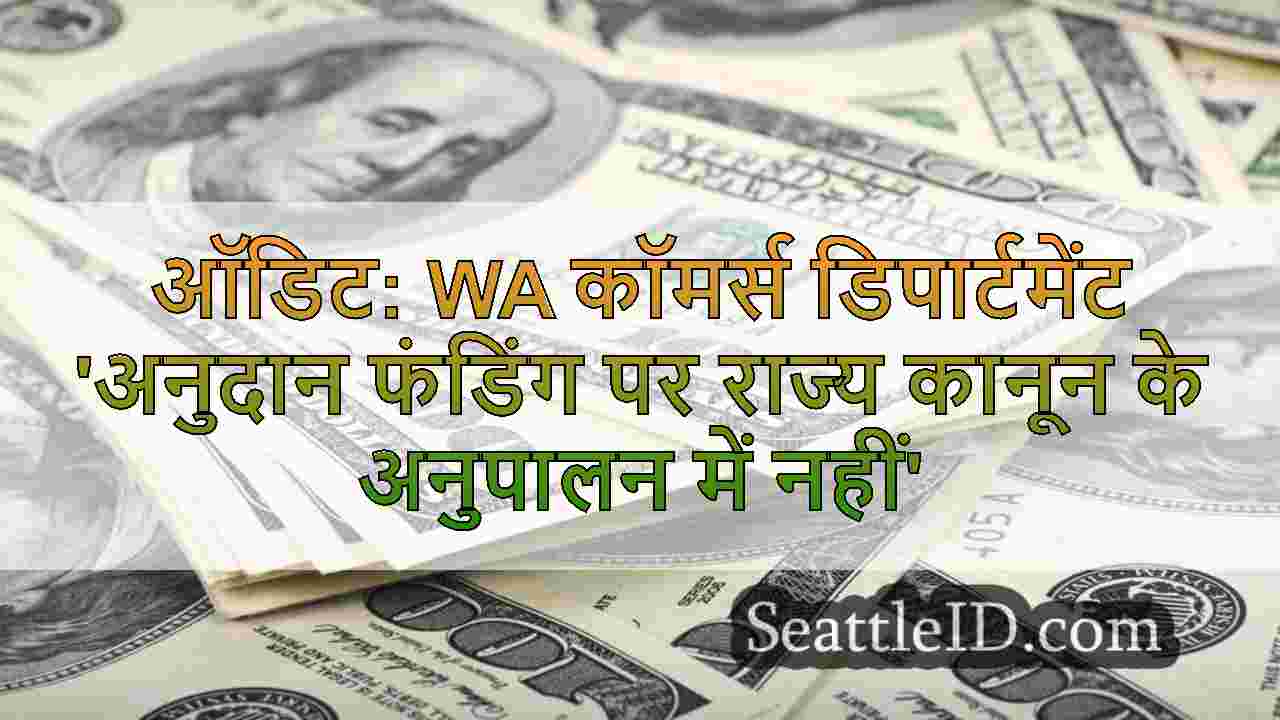 ऑडिट: WA कॉमर्स डिपार्टमेंट 'अनुदान