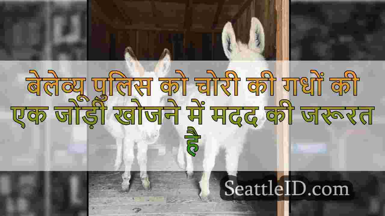 बेलेव्यू पुलिस को चोरी की गधों की एक