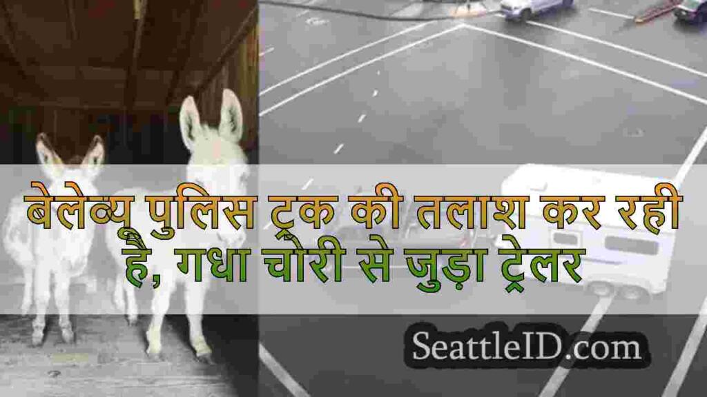 बेलेव्यू पुलिस ट्रक की तलाश कर रही है,
