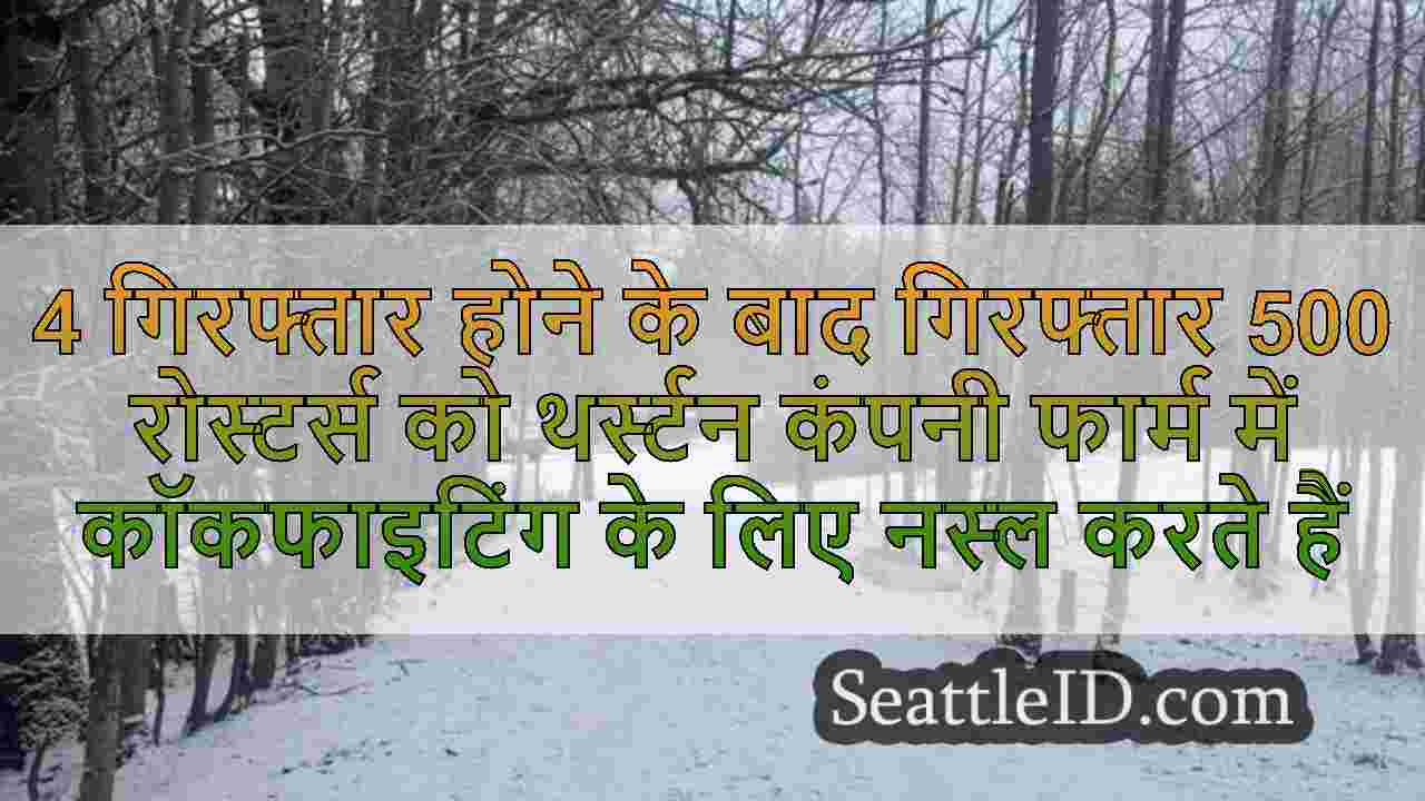सिएटल समाचार SeattleID