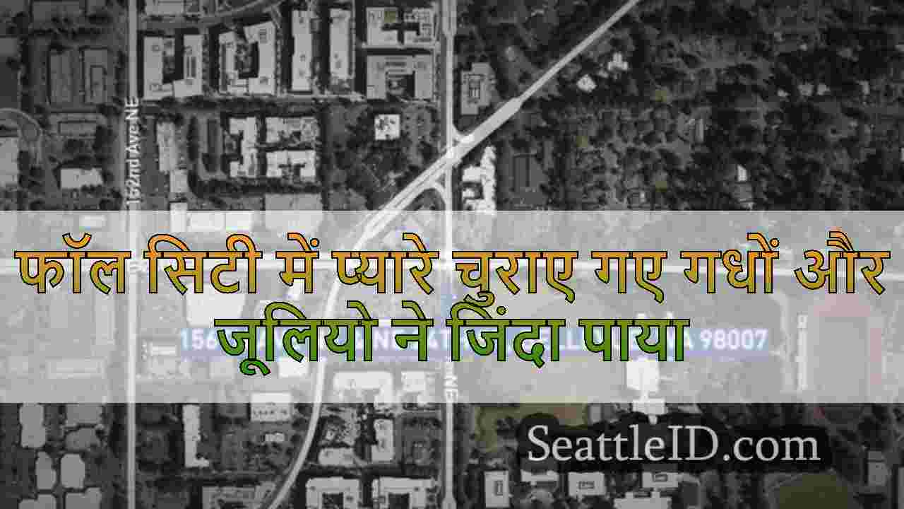 सिएटल समाचार SeattleID