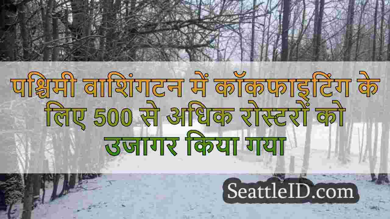सिएटल समाचार SeattleID