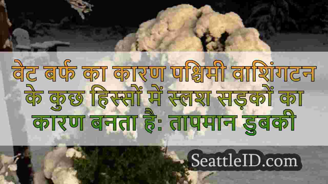 सिएटल समाचार SeattleID