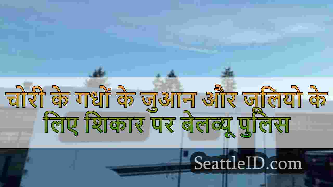 सिएटल समाचार SeattleID