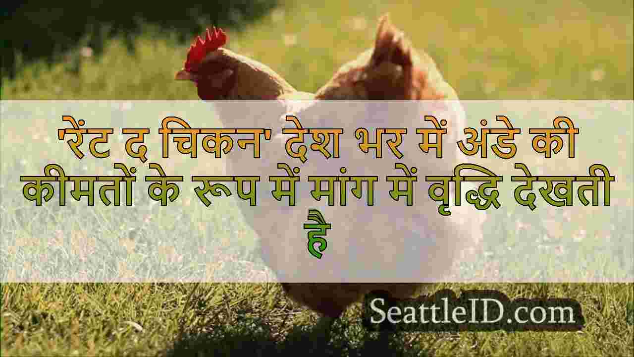 'रेंट द चिकन' देश भर में अंडे की कीमतों