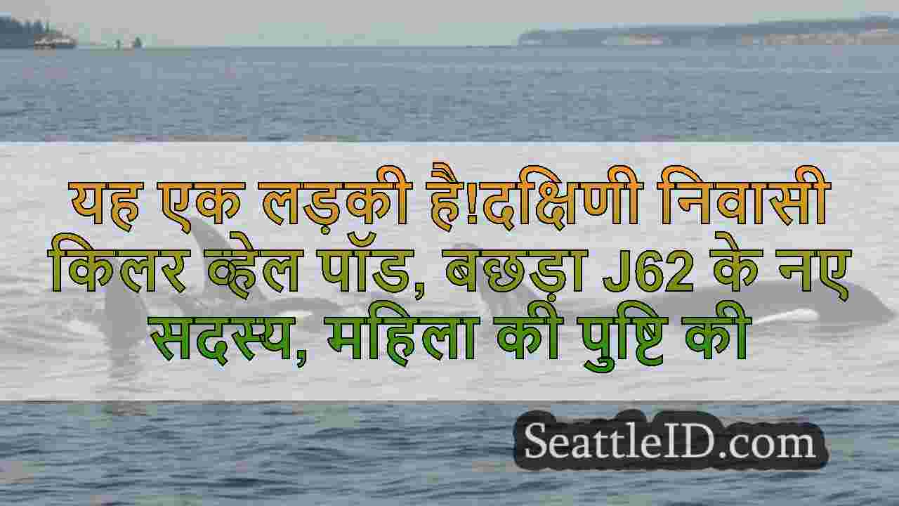 सिएटल समाचार SeattleID