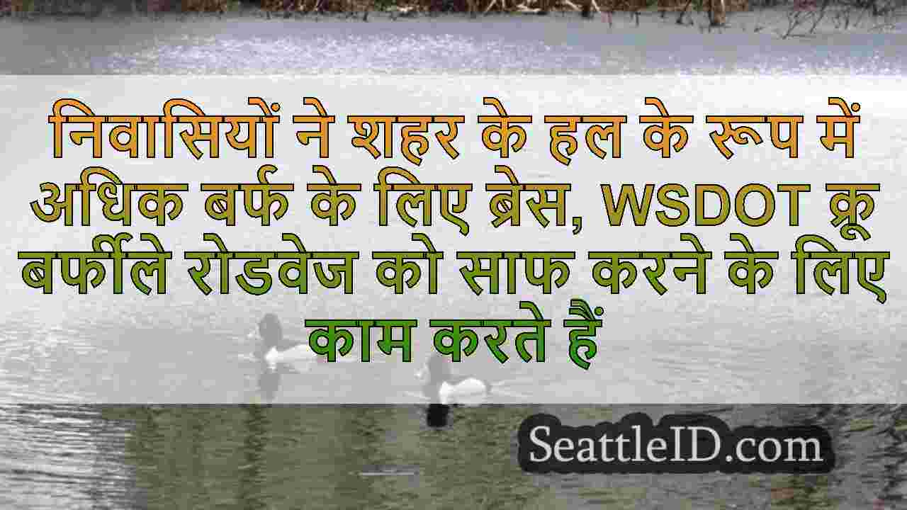 सिएटल समाचार SeattleID