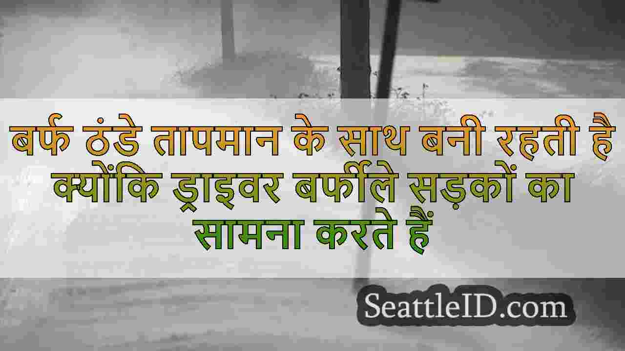 सिएटल समाचार SeattleID