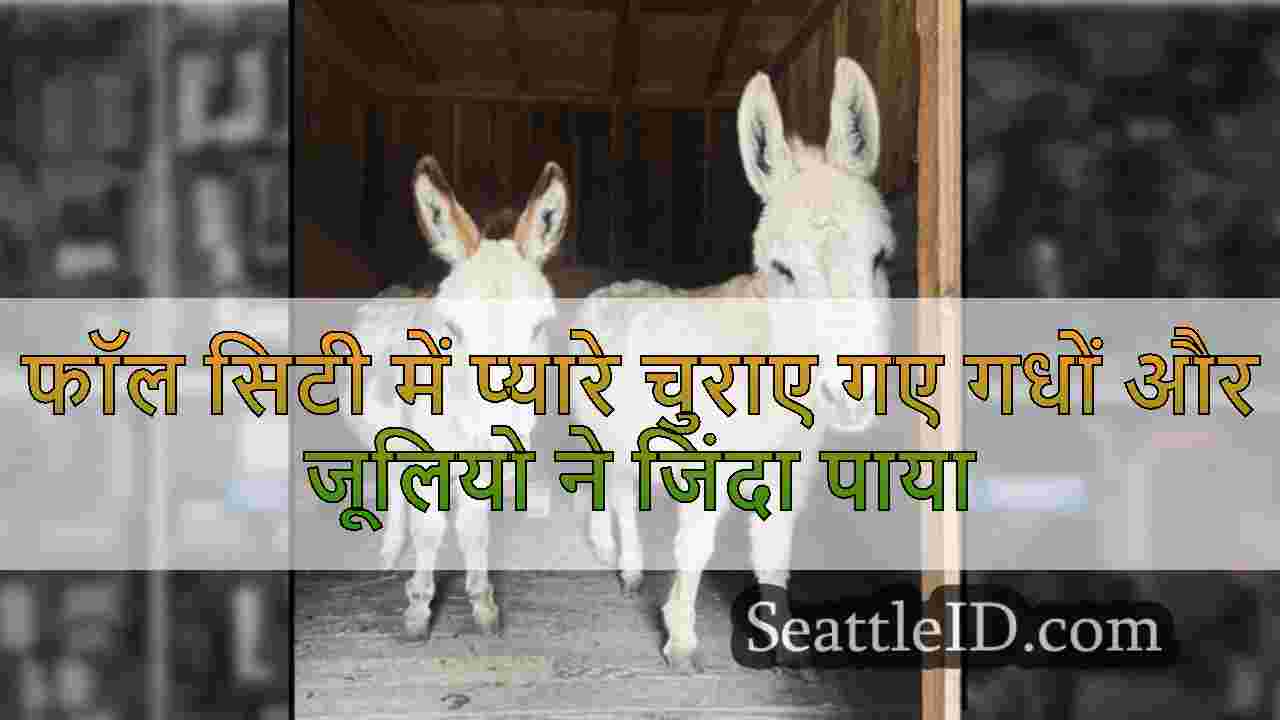 सिएटल समाचार SeattleID