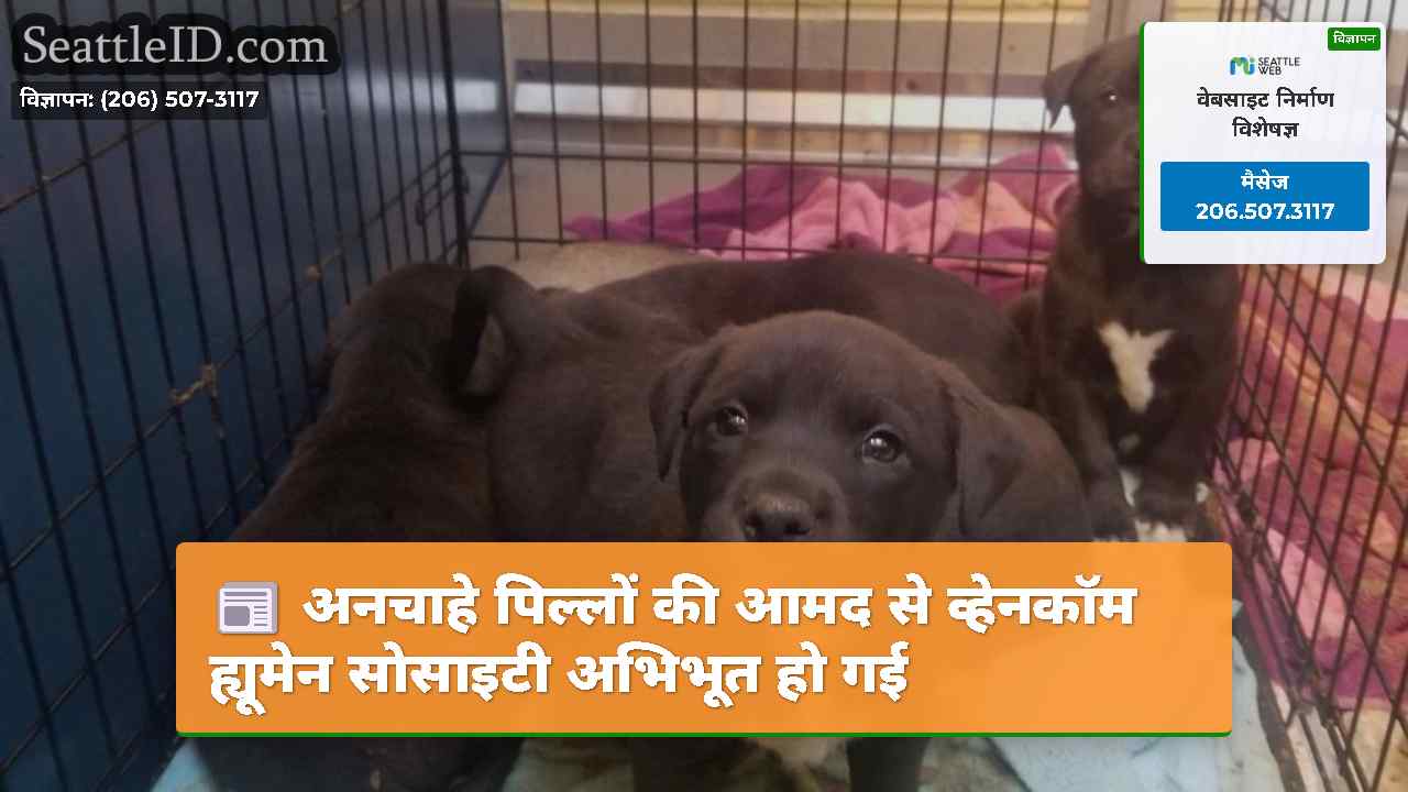 अनचाहे पिल्लों की आमद से व्हेनकॉम ह्यूमेन सोसाइटी
