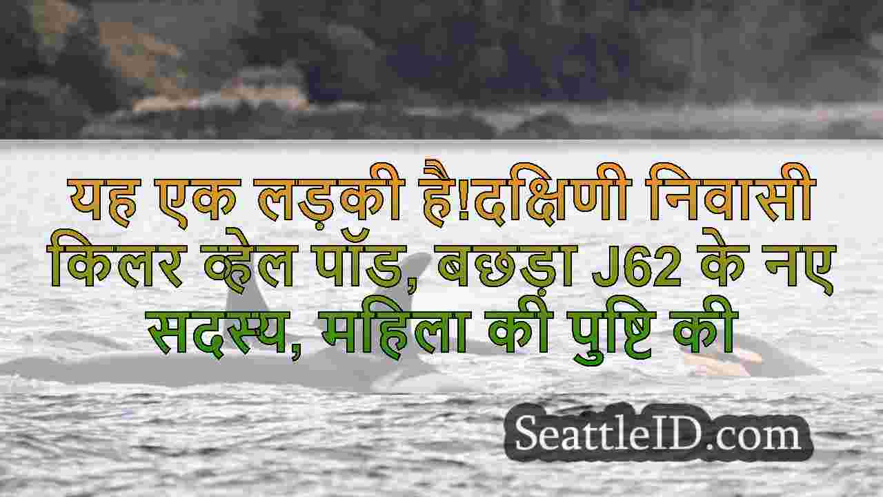 यह एक लड़की है!दक्षिणी निवासी किलर
