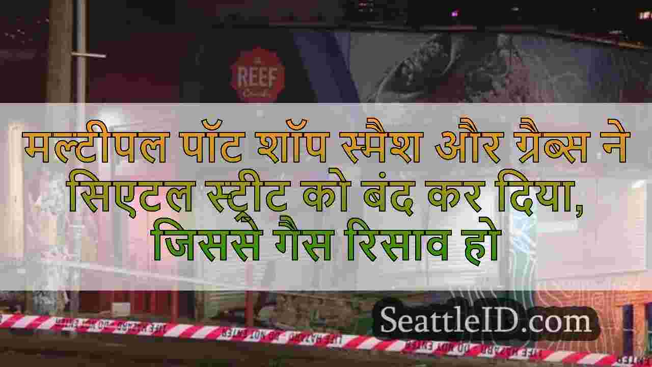 मल्टीपल पॉट शॉप स्मैश और ग्रैब्स ने
