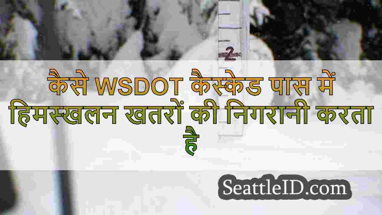 सिएटल समाचार SeattleID