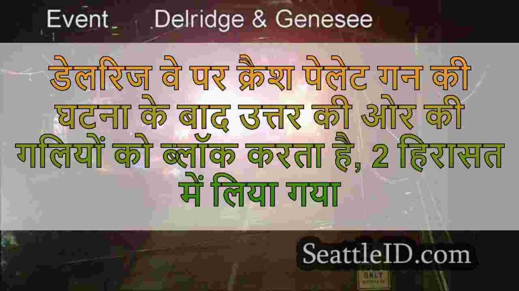 डेलरिज वे पर क्रैश पेलेट गन की घटना के