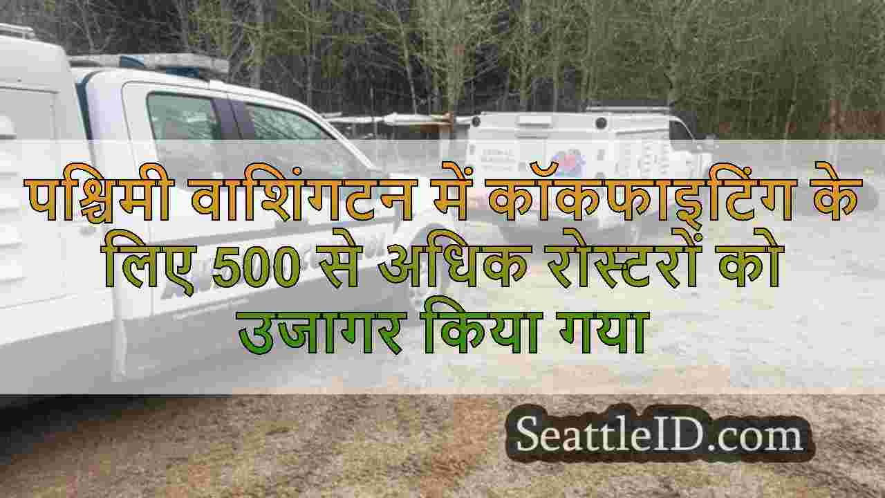 सिएटल समाचार SeattleID