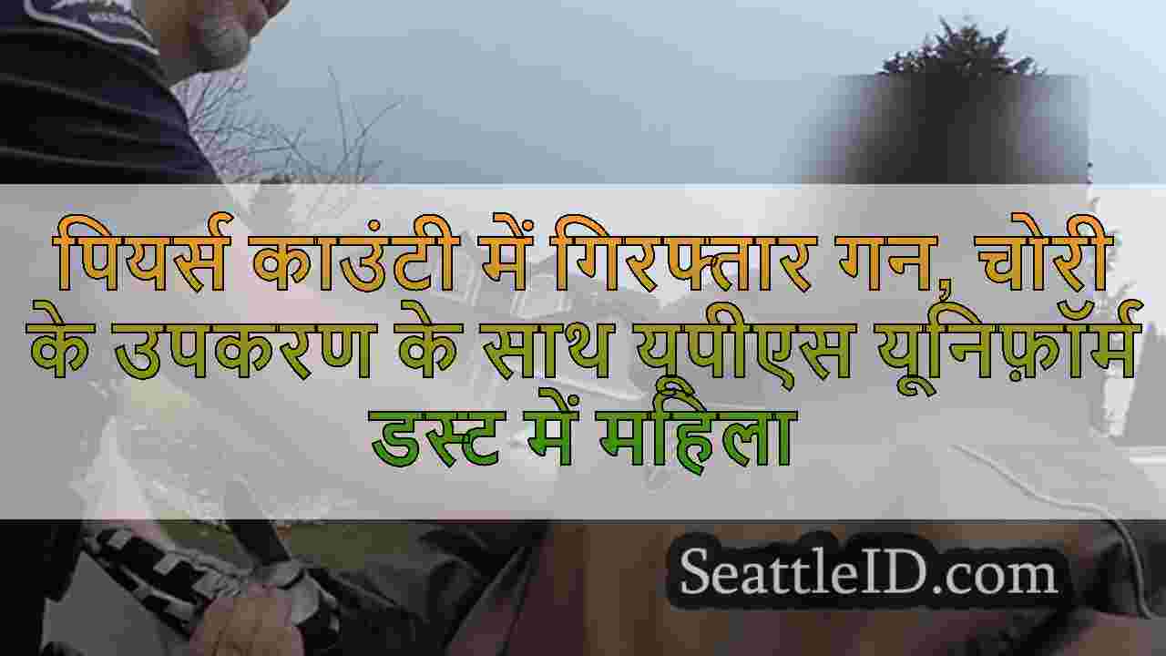 पियर्स काउंटी में गिरफ्तार गन, चोरी के