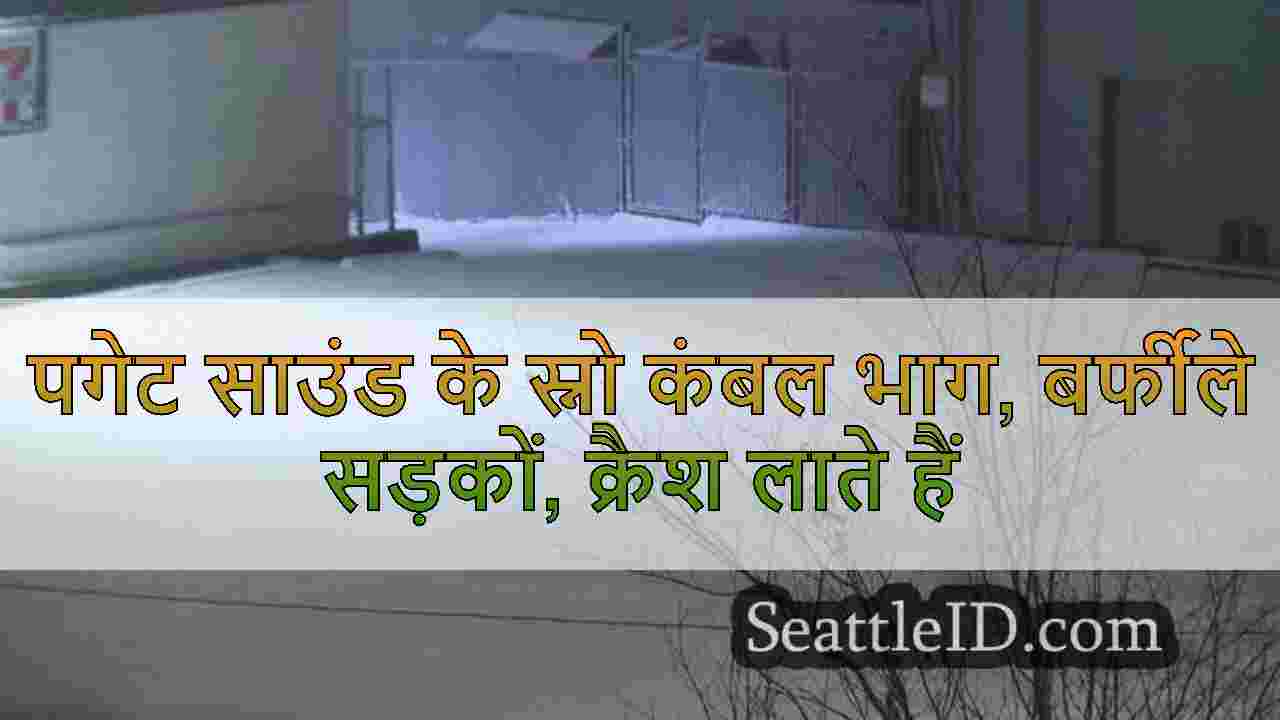 सिएटल समाचार SeattleID