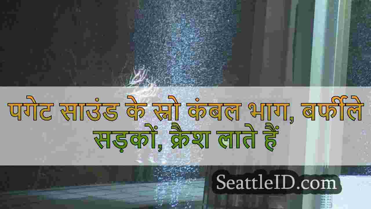 सिएटल समाचार SeattleID
