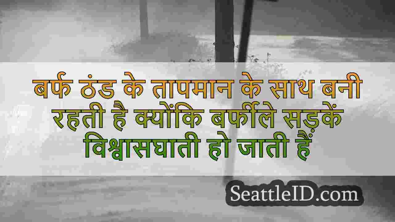सिएटल समाचार SeattleID