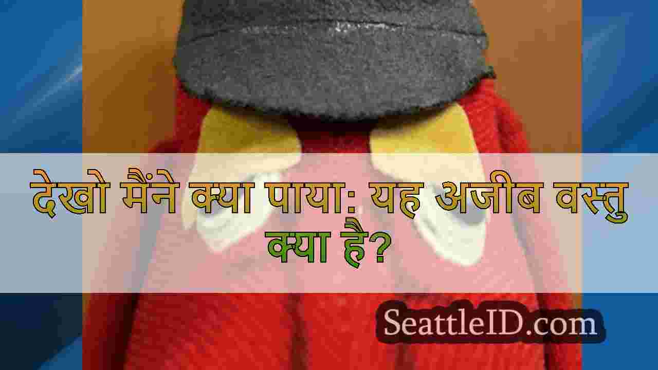 सिएटल समाचार SeattleID