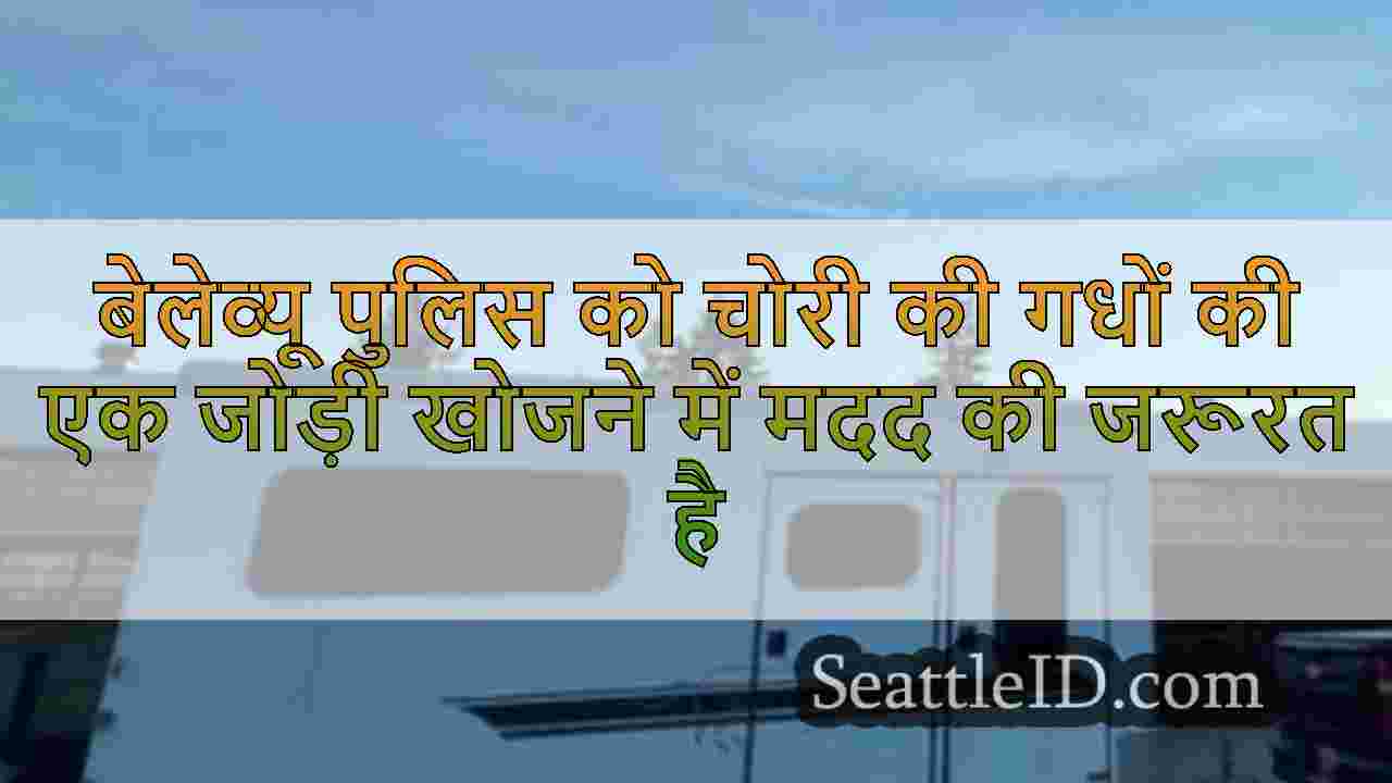 सिएटल समाचार SeattleID