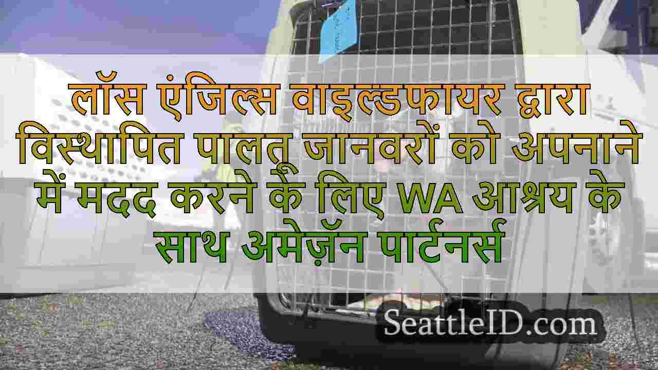 लॉस एंजिल्स वाइल्डफायर द्वारा विस्थापित