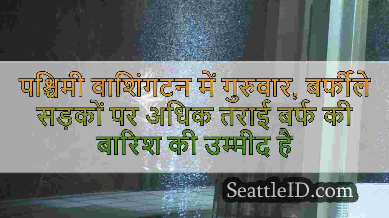 सिएटल समाचार SeattleID