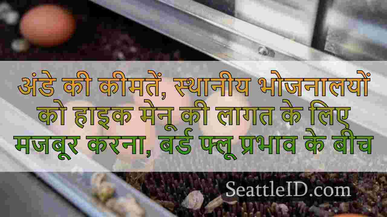 सिएटल समाचार SeattleID