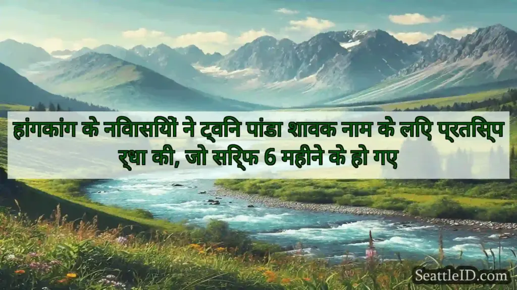 हांगकांग के निवासियों ने ट्विन पांडा शावक नाम के
