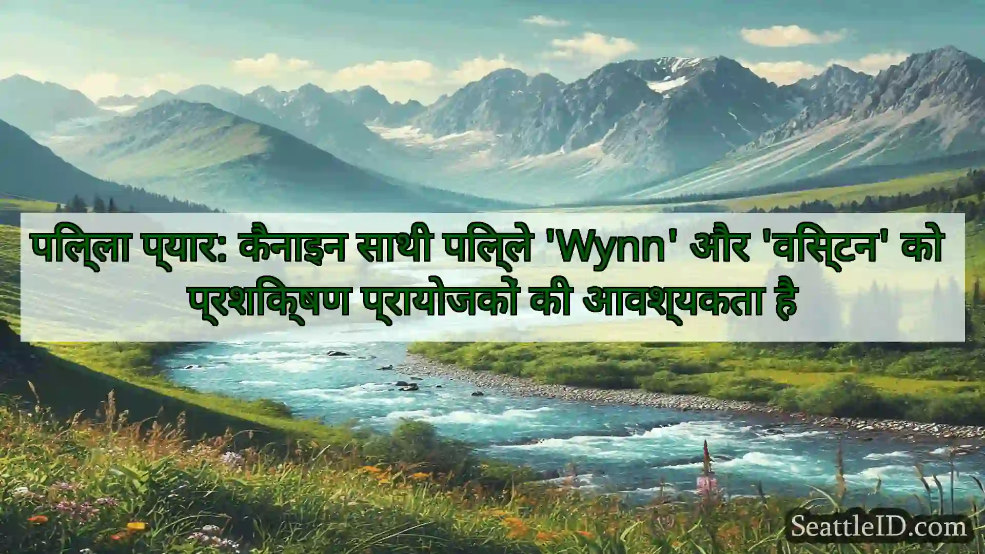 पिल्ला प्यार: कैनाइन साथी पिल्ले 'Wynn' और