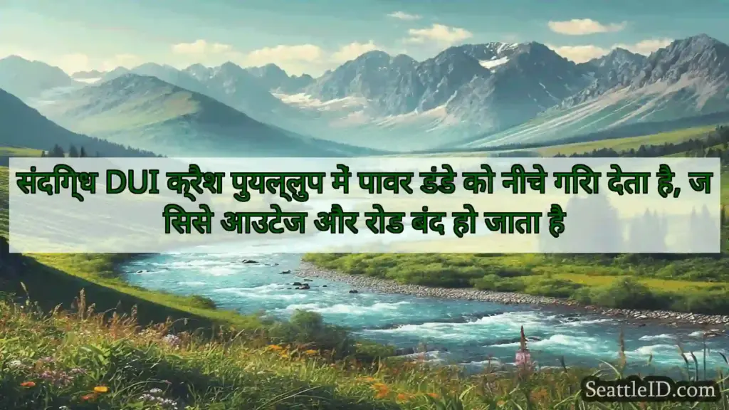 संदिग्ध DUI क्रैश पुयल्लुप में पावर डंडे को नीचे