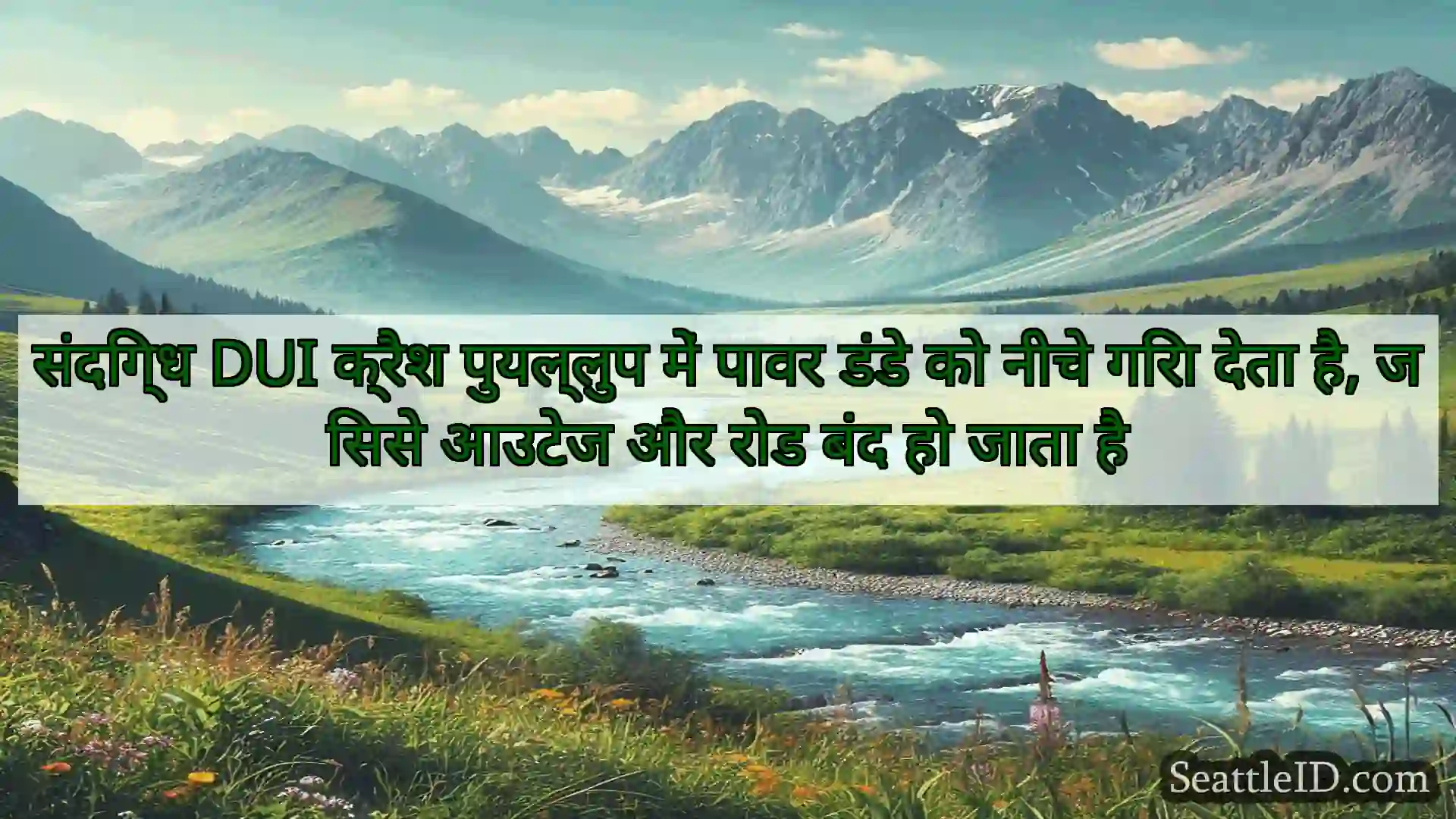 संदिग्ध DUI क्रैश पुयल्लुप में पावर डंडे को नीचे