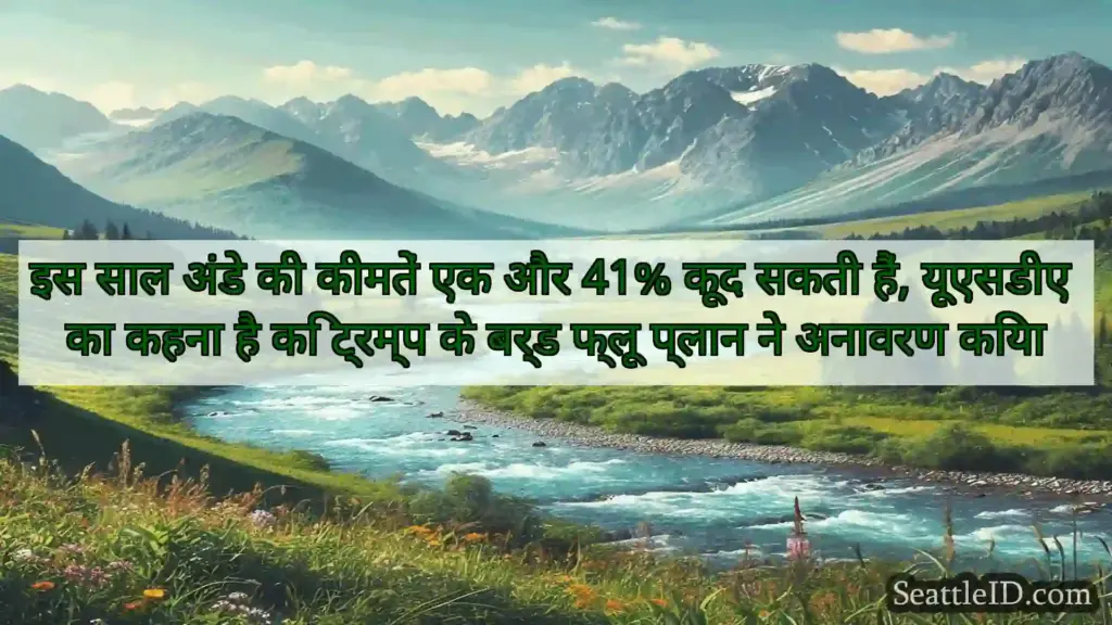 इस साल अंडे की कीमतें एक और 41% कूद सकती हैं,