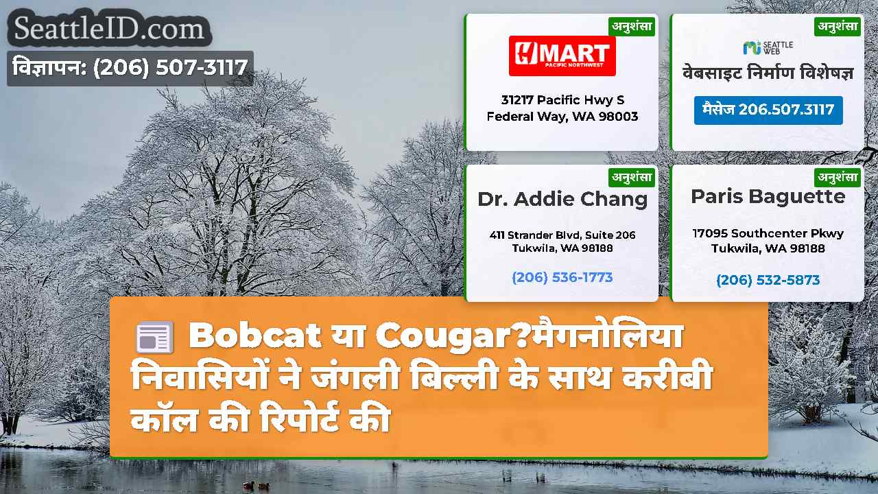 सिएटल समाचार SeattleID