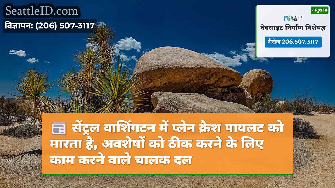 सिएटल समाचार SeattleID