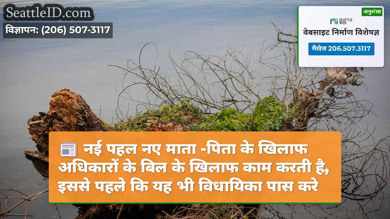 सिएटल समाचार SeattleID
