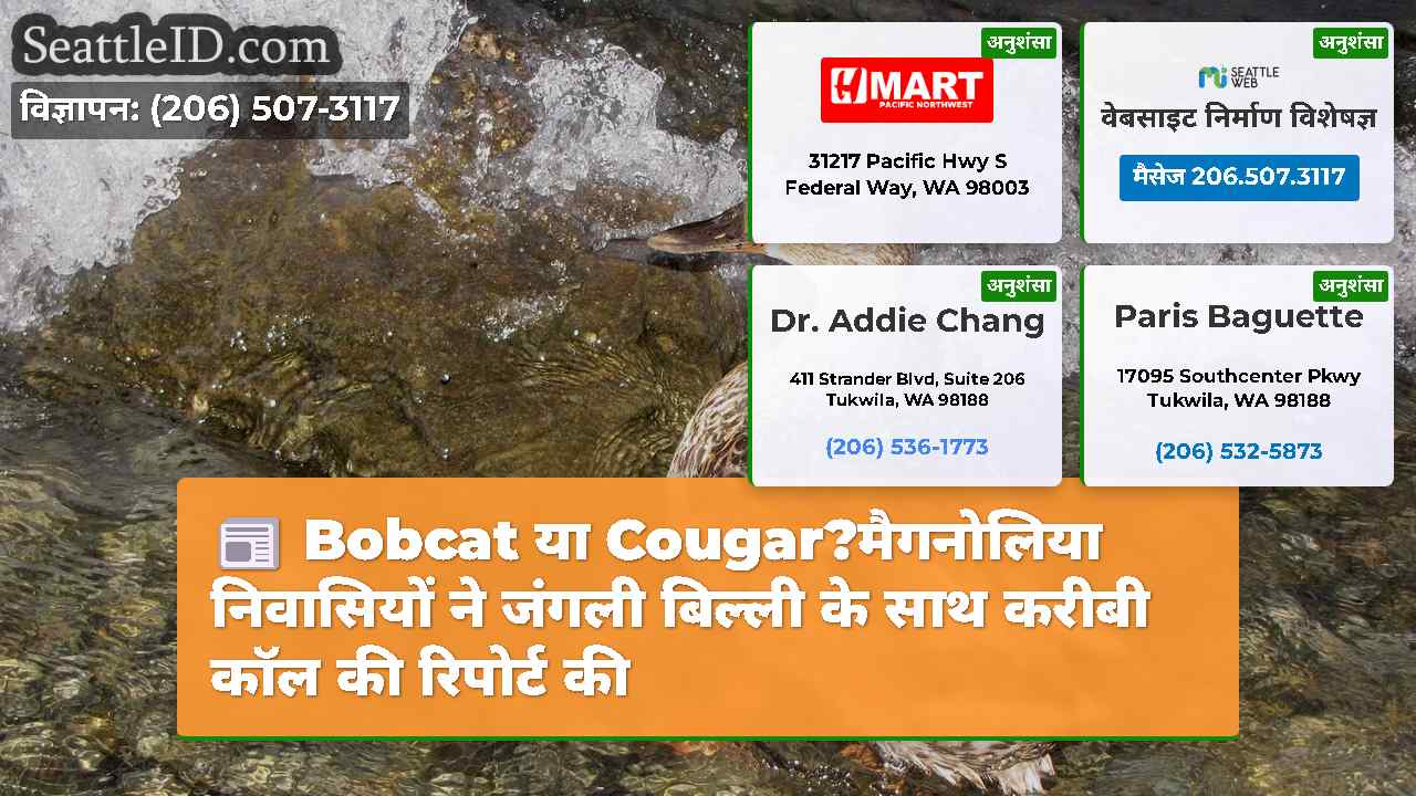 Bobcat या Cougar?मैगनोलिया निवासियों ने जंगली
